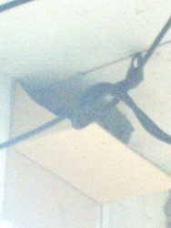 080409_15467E0002.jpg