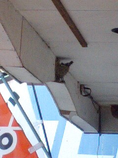 080704_18217E0001.jpg