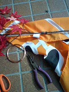 080906_15487E0001.jpg